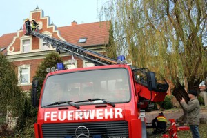 seejungfr-1